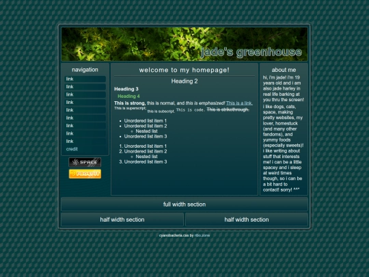 example screenshot