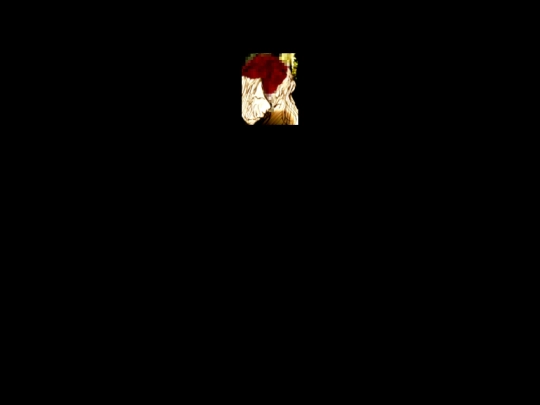 sobelow screenshot