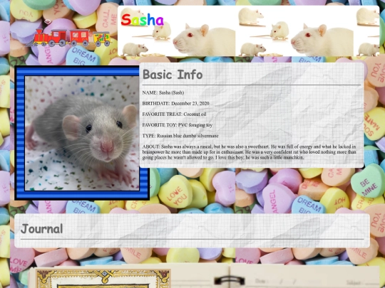sasha screenshot