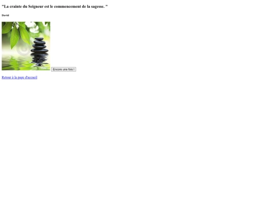 ex_js/citation screenshot