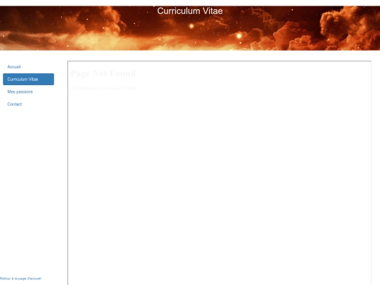 mon_profil/curriculum_vitae screenshot