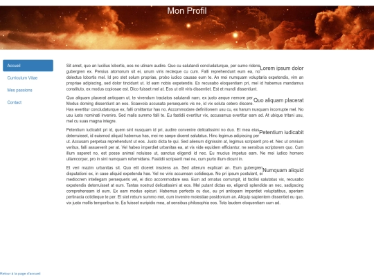 mon_profil screenshot