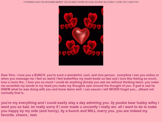 Vinn screenshot