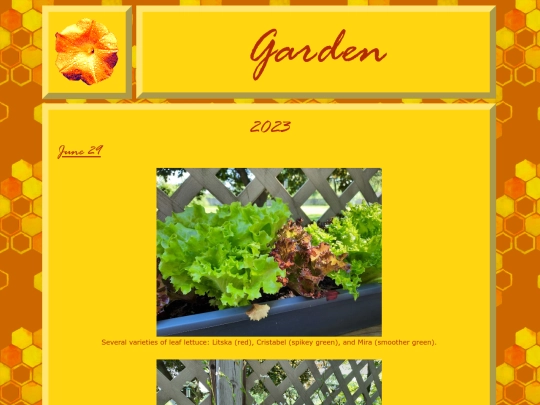 garden2 screenshot