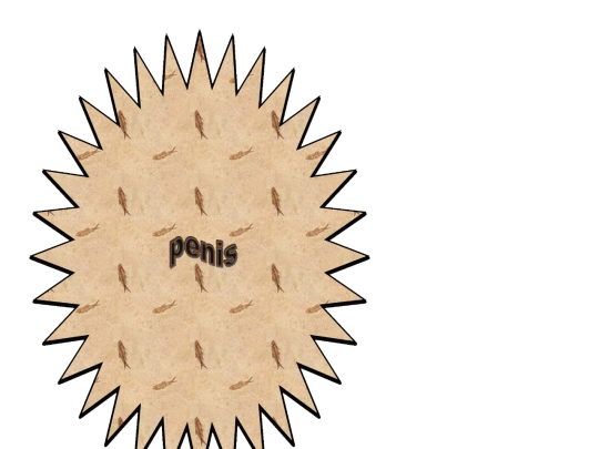 hidden/penis screenshot
