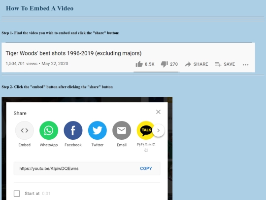 embed/video screenshot