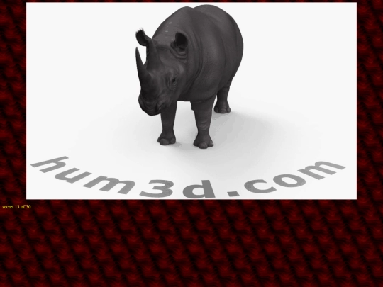 rhino screenshot