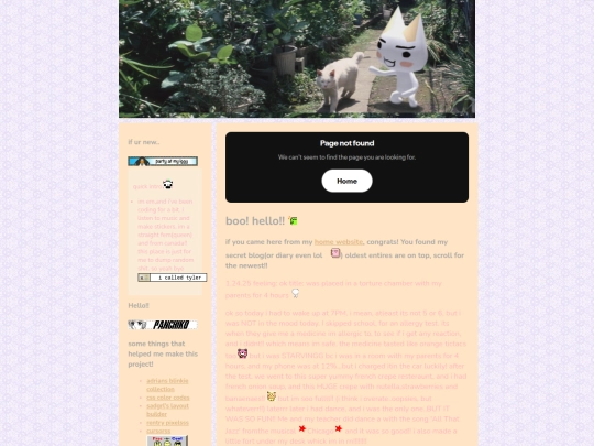 blog screenshot