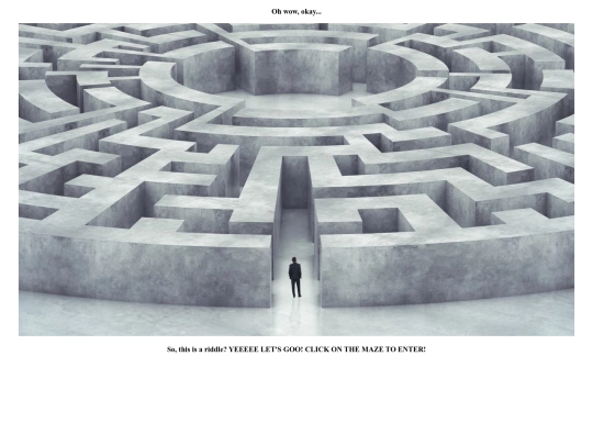 labyrinth screenshot