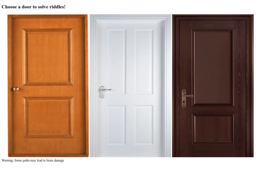 riddle1DOORS screenshot