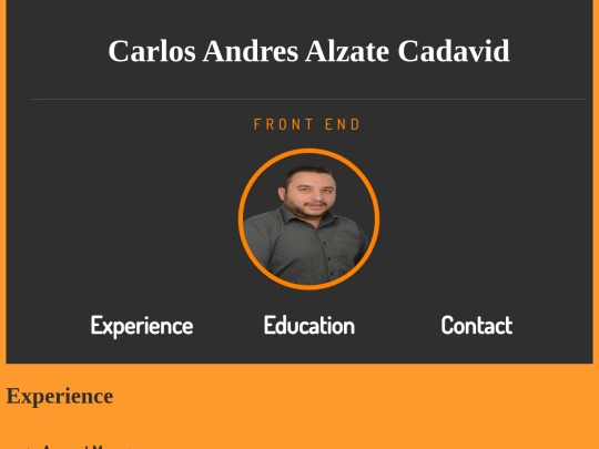 CV screenshot