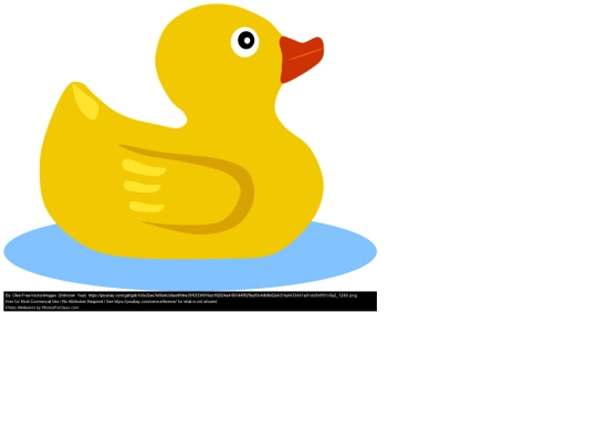 dojo-useful/duck screenshot