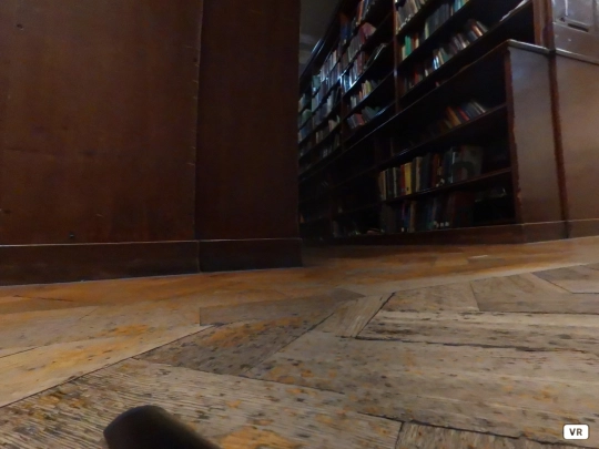 vr screenshot