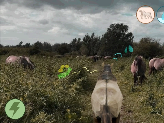 foodorwater screenshot