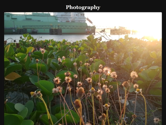 photographyindex screenshot