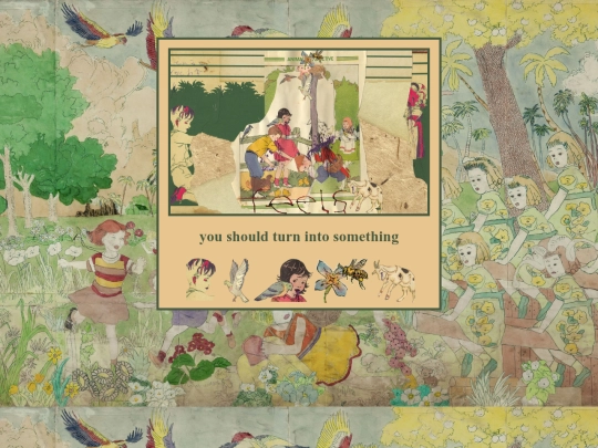 anco screenshot