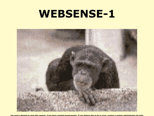 WEBSENSE-1 screenshot