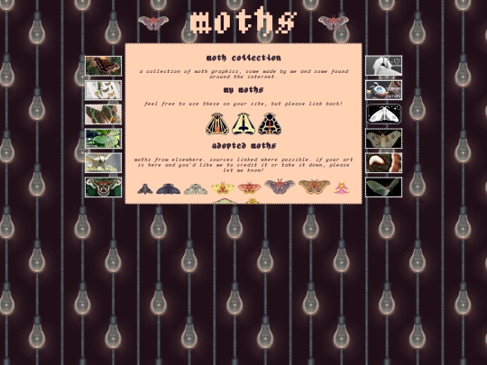 moths/collection screenshot