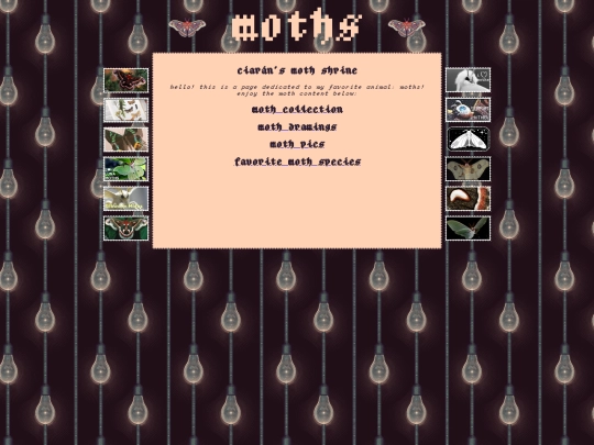 moths screenshot