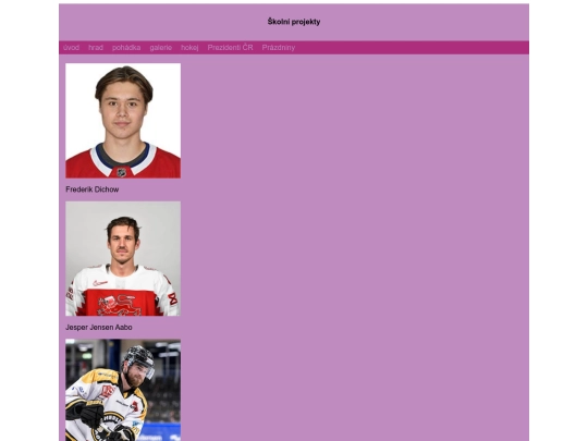 dansko screenshot