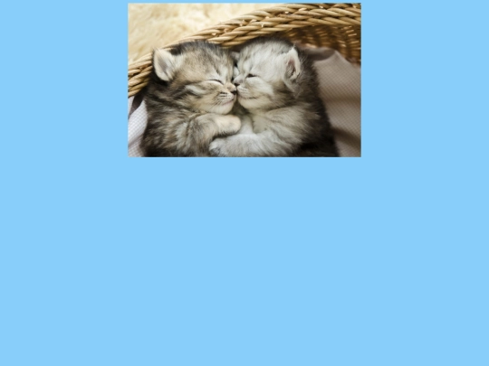 kocka screenshot
