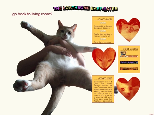 pets/Gooseberry screenshot