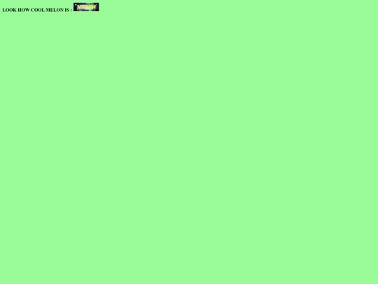 meloniscool screenshot