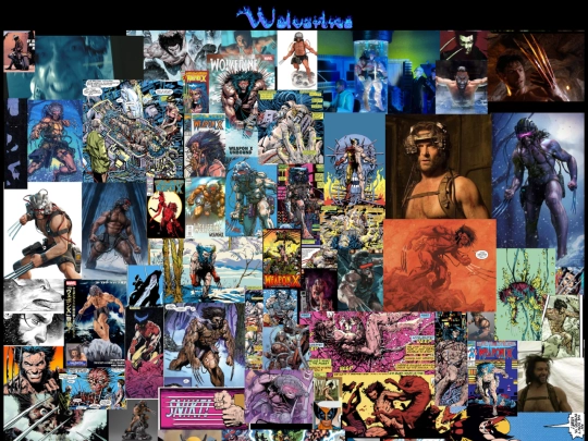 wolverine/wolverine screenshot