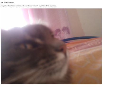secret screenshot