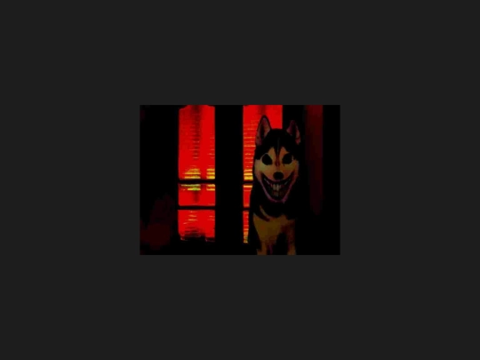 imageviewer screenshot
