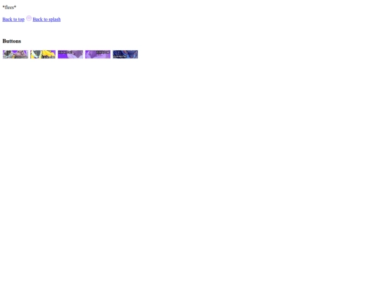 layouts/footer screenshot