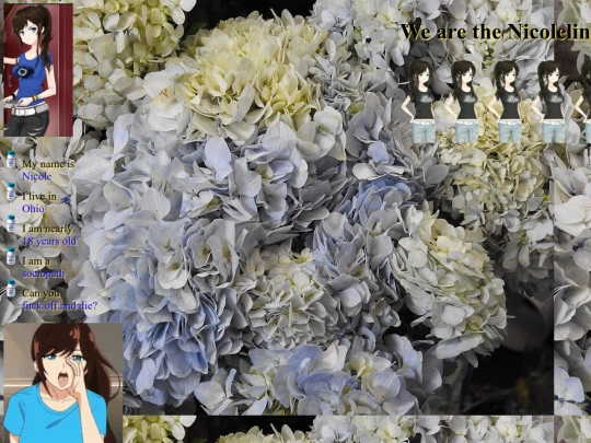blog/nic screenshot