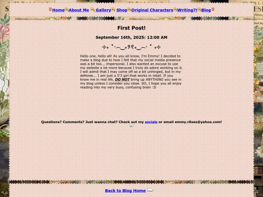 writing/blogArchive/intro screenshot