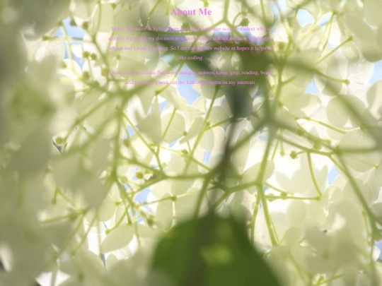 aboutMe screenshot