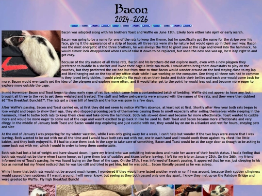 rainbow_bridge/bacon screenshot