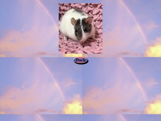 rainbow_bridge/bacon1 screenshot