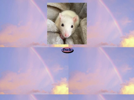 rainbow_bridge/egg1 screenshot