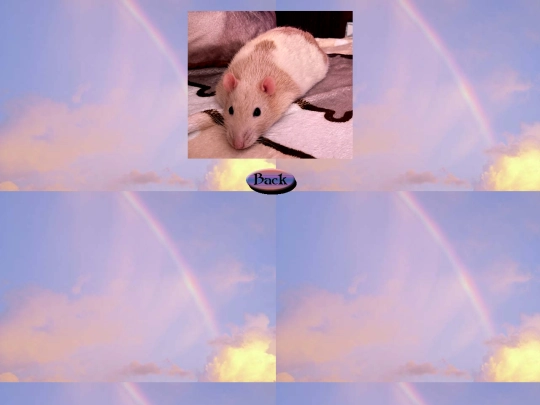 rainbow_bridge/egg2 screenshot