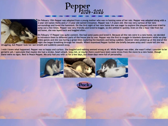 rainbow_bridge/pepper screenshot