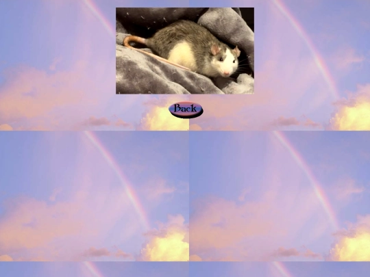 rainbow_bridge/pepper2 screenshot