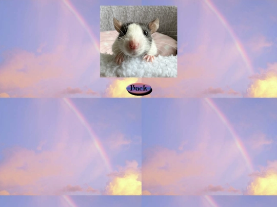 rainbow_bridge/toast2 screenshot