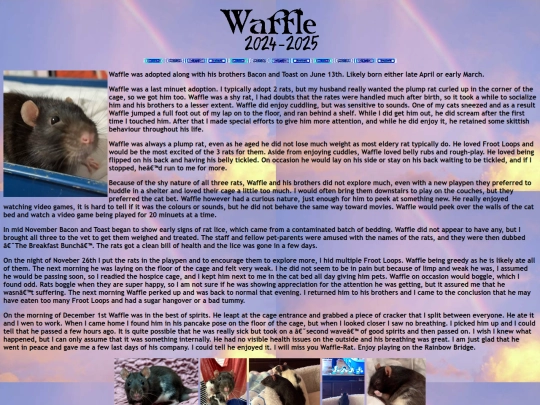 rainbow_bridge/waffle screenshot