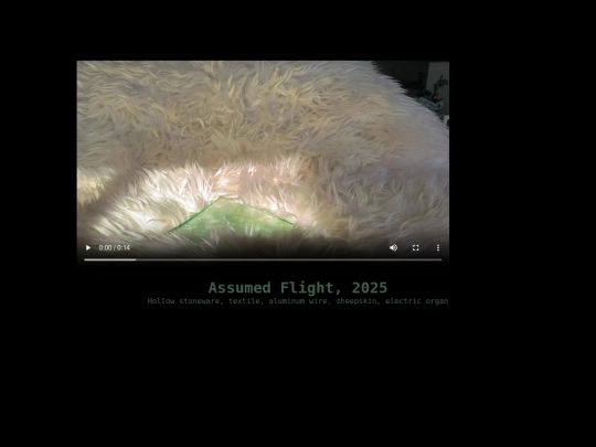 fairy screenshot