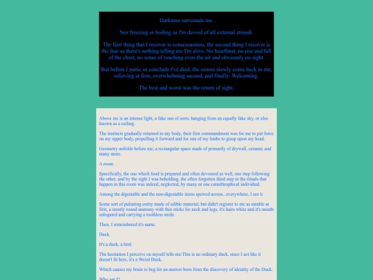 WritingPage/July2025/WhoOwnsTheDuck screenshot