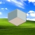 nhu york avatar