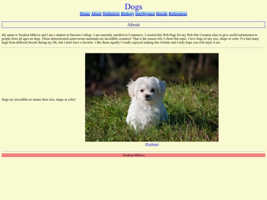 website/about screenshot