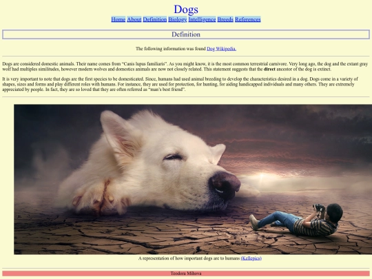 website/definition screenshot