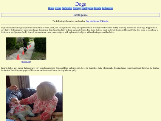 website/intelligence screenshot