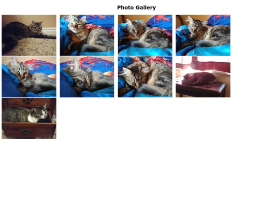 gallery screenshot