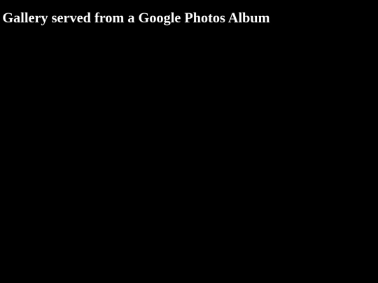 googlealbum screenshot